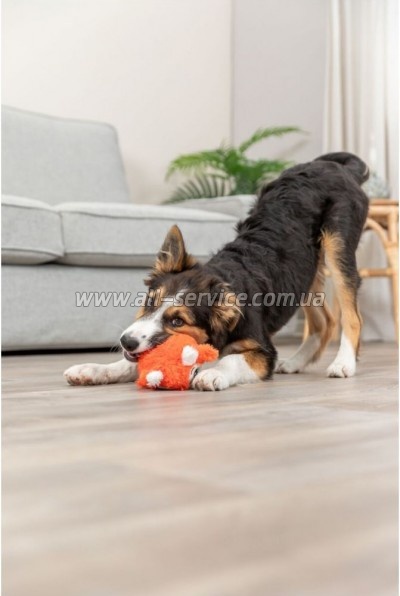    Trixie     11   (4047974360217)