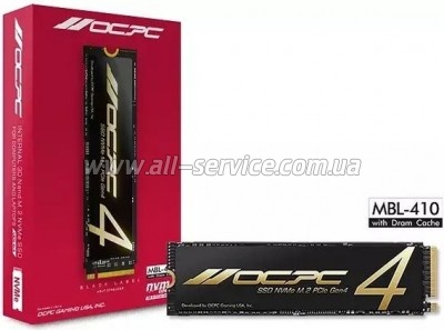  SSD M.2 2280 1TB OCPC (OCMBL4101TB)