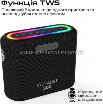   HiFuture Vocalist 300 Black (vocalist300.black)