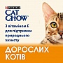     Purina Cat Chow Adult   15 (7613035394889)