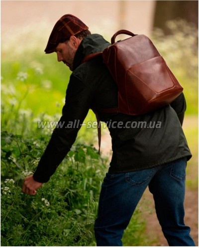 ������ ������������� Ashwood K47 Chestnut