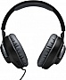  JBL Quantum 100 Black (JBLQUANTUM100BLK)