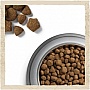     Purina Dog Chow Adult Lamb    2.5  (7613034485946)