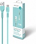���� ������ USB 2.0 AM to USB-C 1.2m Mint ACCLAB (1283126518256)