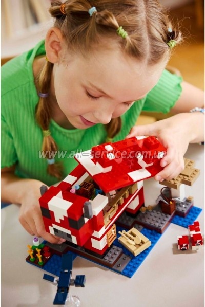  LEGO Minecraft   (21270)