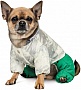  Pet Fashion Pf Style S (4823082427956)