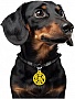   WAUDOG Smart ID  QR  