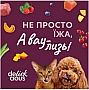    Delickcious     4  15  (4820269141636)