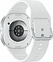 - Samsung Galaxy Watch 8 40mm Silver (SM-L320NZSASEK)