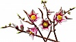 ����������� LEGO Botanicals Magnolia Branches (11510)