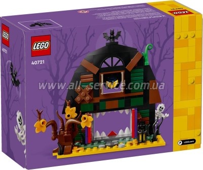  LEGO Iconic   (40721)