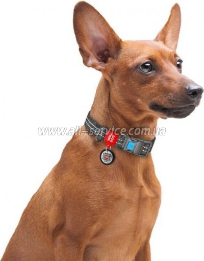  Waudog Re-cotton  QR    25   33-49   (029211)