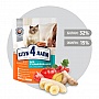     Club 4 Paws    14  (4820083909665)