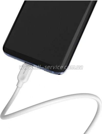 ���� ������ USB 2.0 AM to USB-C 2.0m 2.4A white BOROFONE (6957531090021)