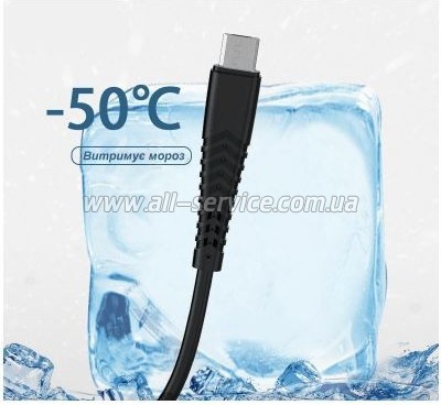 ���� ������ USB 2.0 AM to USB-C 1.0m 2.4A silicone black Denmen (DM-D42T-BK)