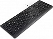  Lenovo Essential USB UA Black (4Y41C75141)