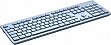  Canyon HKB-W01 Silent Wireless UA Blue (CNS-HKBW01BL)