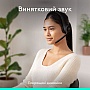  Logitech Zone 300 Bluetooth Graphite (981-001407)