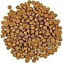     Savory Adult Cat Gourmand Fresh Salmon and White Fish 400 (4820232630013)