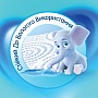   Selpak Comfort 2  (8690530008847)