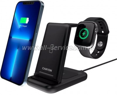 �������� ������� Canyon WS- 304 (CNS-WCS304B)