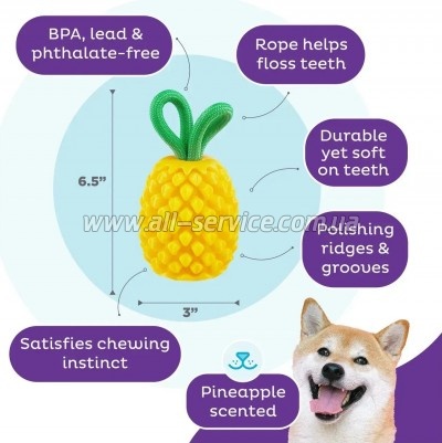    Outward Hound    (0700603714921)