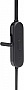 �������� JBL Tune 125BT Black (JBLT125BTBLK)