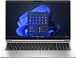  HP ProBook 455 G10 (719F9AV_ITM1)