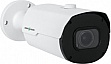   Greenvision GV-173-IP-IF-COS50-30 VMA (Ultra AI)