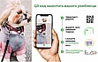  WAUDOG Nylon  QR  