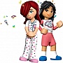 ����������� LEGO Friends ������� ������ (42647)