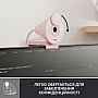 - Logitech Brio 300 FHD Rose (960-001448)