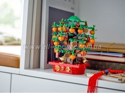  LEGO Iconic   (40648)