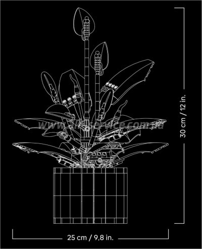 ����������� LEGO Botanicals ���������� (11504)
