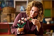 ����������� LEGO Botanicals ̳�� ������� (10343)