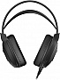  A4Tech FH300U Black