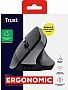  Trust Bayo 2 Ergonomic Wireless/USB-A Black (25145)