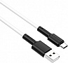 ���� ������ USB 2.0 AM to USB-C 1.0m 3A silicone BX31 white BOROFONE (6931474710406)