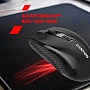  Canyon M-4 USB Black (CNE-CMS4)