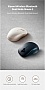 Xiaomi Dual-mode Wireless Mouse 2 Black (BHR8850GL) (1122318)