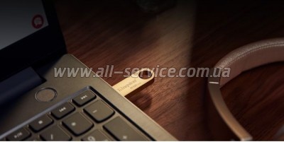  Kingston 256GB DataTraveler SE9 G3 Gold USB 3.2 (DTSE9G3/256GB)