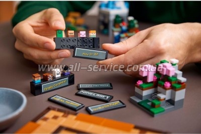  LEGO Minecraft  1195  (21265)