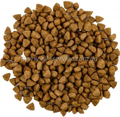     Savory Adult Cat Steril Fresh Lamb and Chicken 2  (4820232630112)