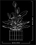 ����������� LEGO Botanicals ���������� (11504)