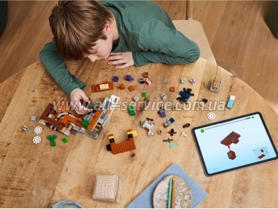 LEGO Minecraft      (21263)