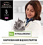     Purina Pro Plan Veterinary Diets Hypoallergenic 1.3 (7613035154506)