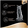     Sheba cig POU      85  (4770608257187)