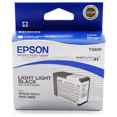 Картридж Epson StPro 3800 light light black (C13T580900)