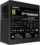   GIGABYTE 750W (GP-P750GM)