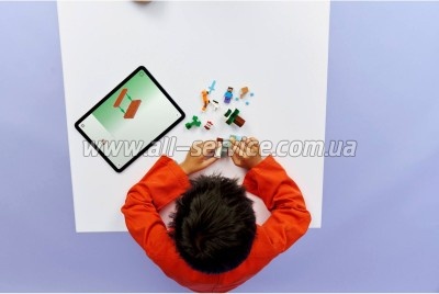 ����������� LEGO Minecraft ������� ���� � ���� (21583)